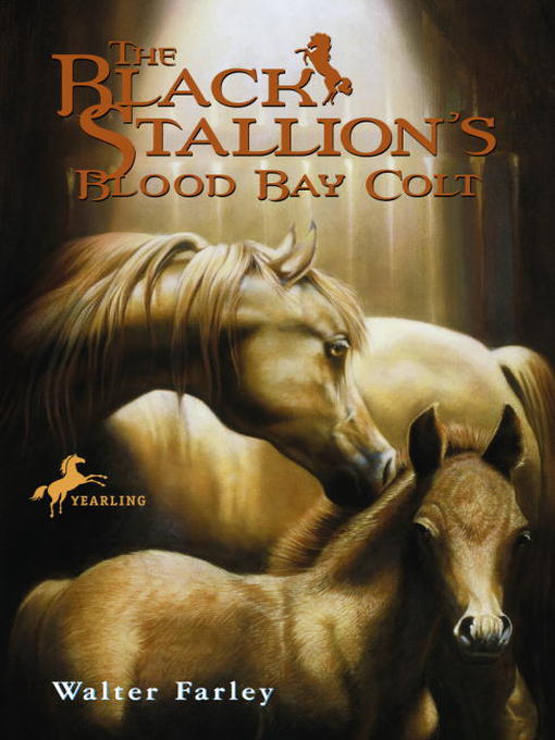 Title details for The Black Stallion's Blood Bay Colt by Walter Farley - Available